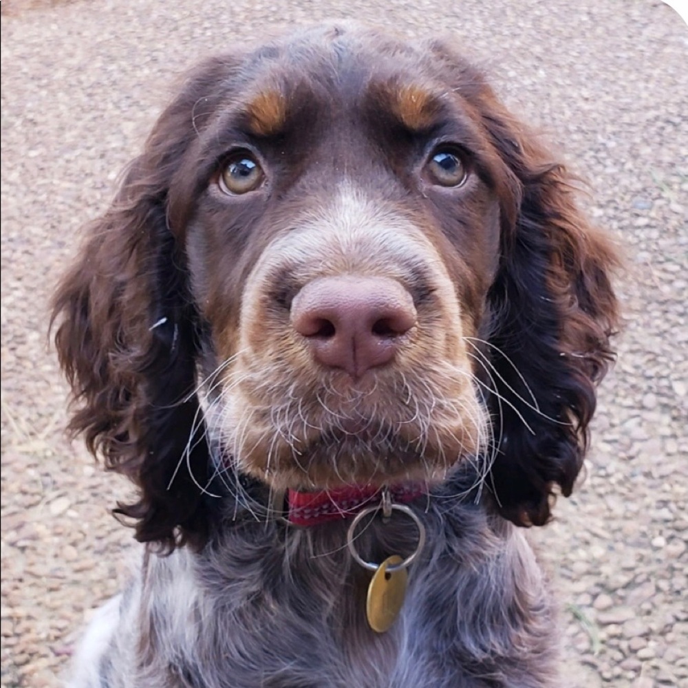 Meet your Posher, Joan